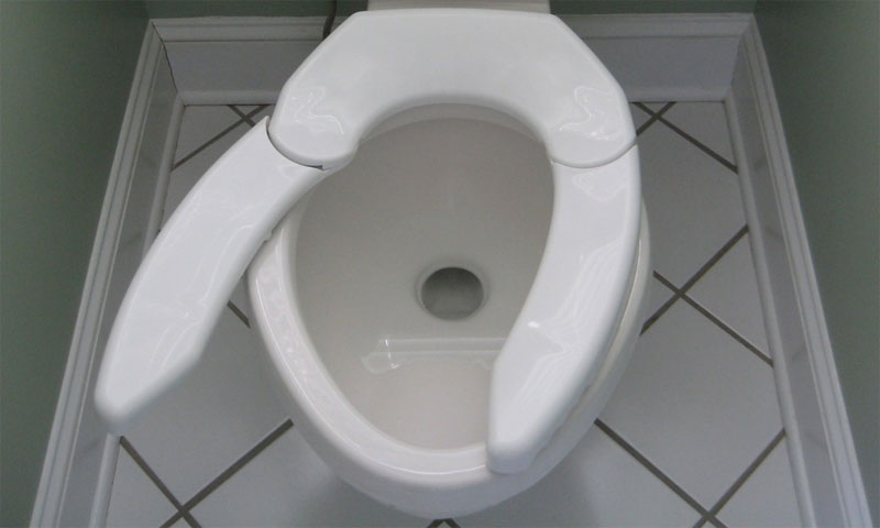 one-size-fits-all-toilet-seat-9482.jpg